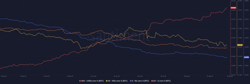 机构吸纳散户抛售，BTC价格仍保持看涨势头