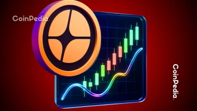 紫菀价格下跌8%,可能预示未来走势