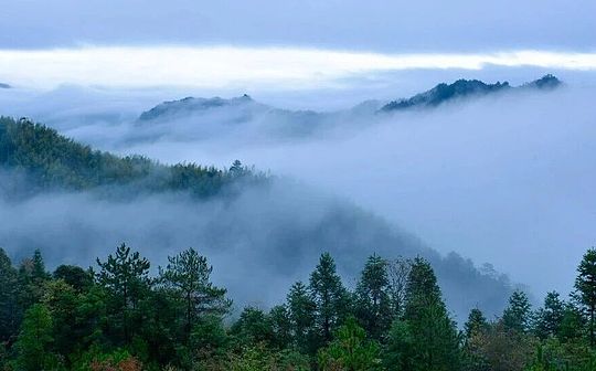 AI业务不赚钱？近东AI业务重振声势